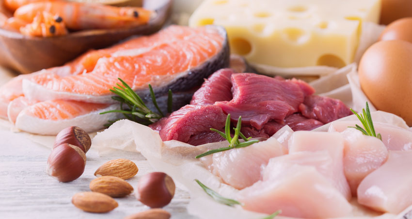 Proteinrik mat vid viktminskning?
